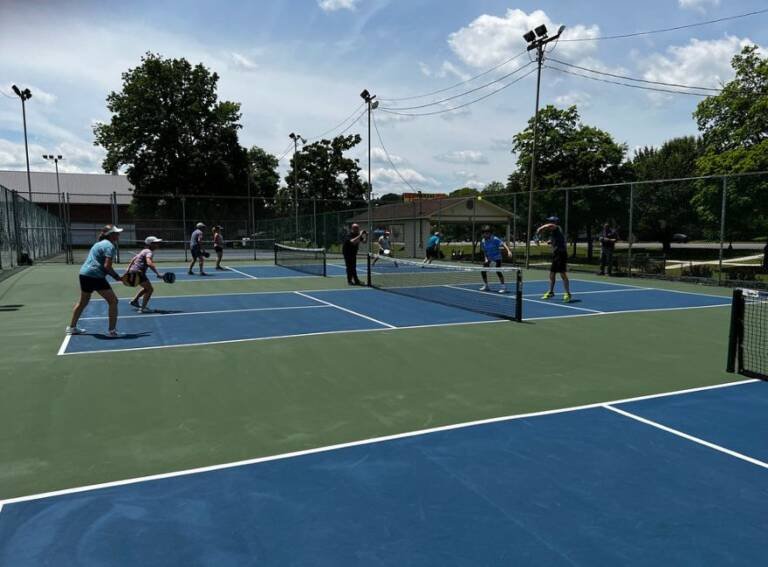 best Pickleball Courts in Chicago Illinois, USA